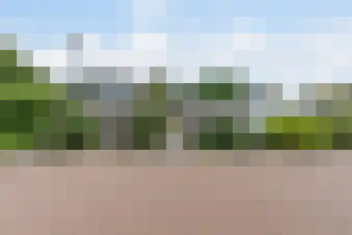 Waleweinlaan 76 Geldrop thumbnail 41