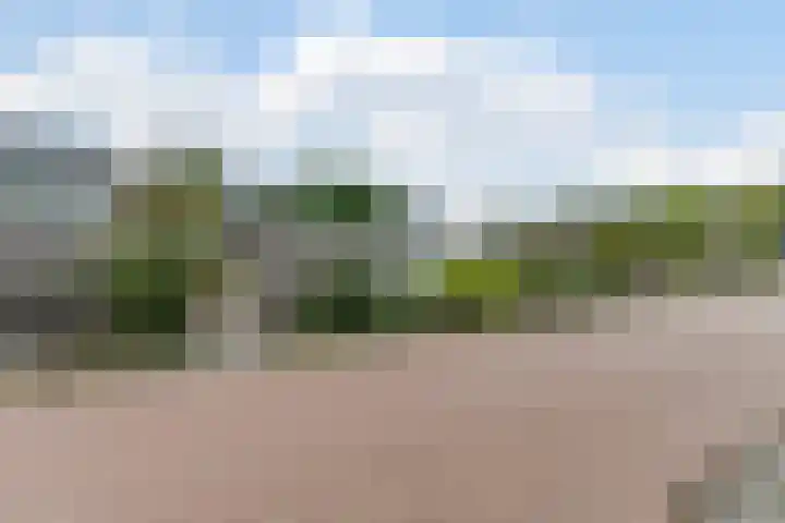 Waleweinlaan 76 Geldrop thumbnail 42