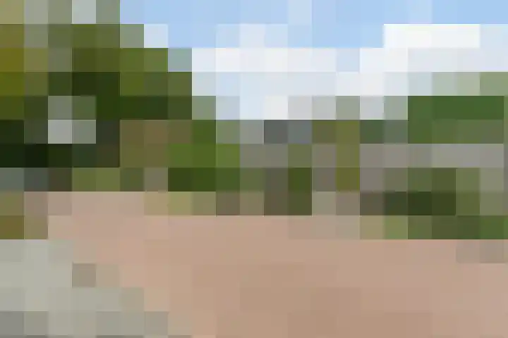 Waleweinlaan 76 Geldrop thumbnail 43