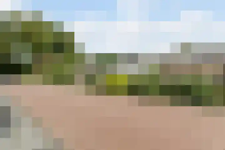 Waleweinlaan 76 Geldrop thumbnail 44
