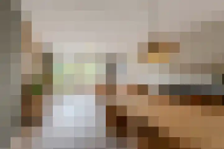 Waleweinlaan 76 Geldrop thumbnail 8