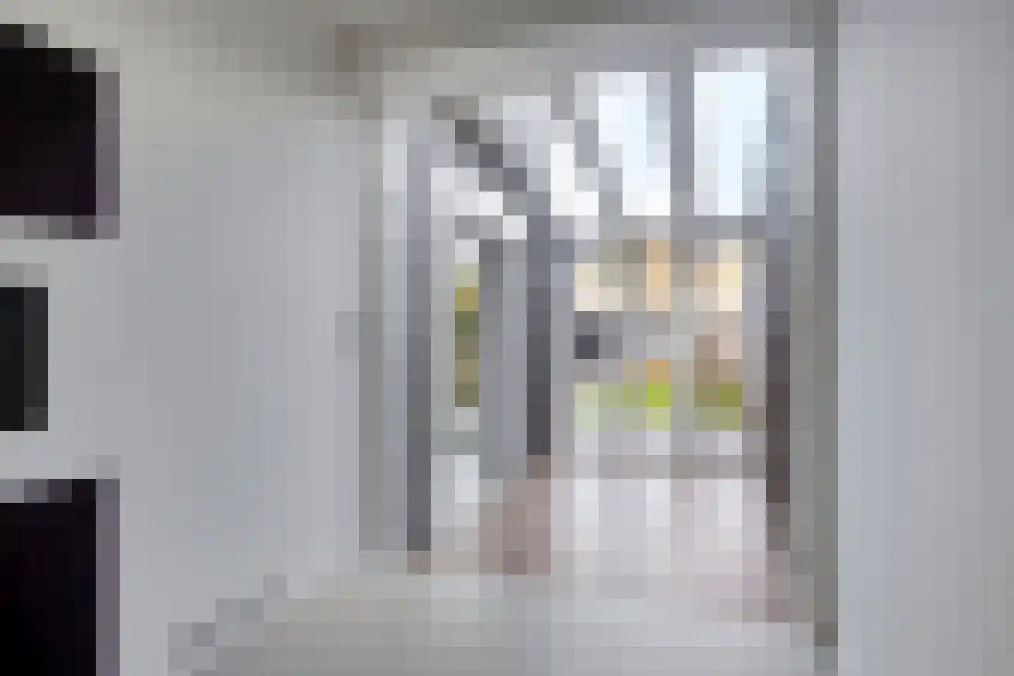 Waleweinlaan 88 Geldrop thumbnail 11