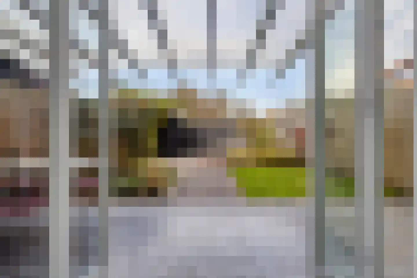 Waleweinlaan 88 Geldrop thumbnail 28