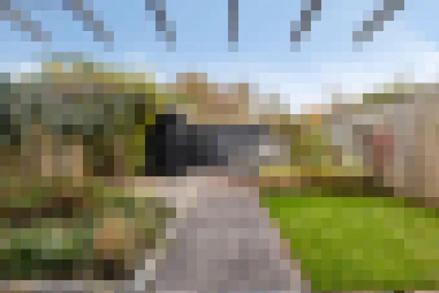 Waleweinlaan 88 Geldrop thumbnail 31