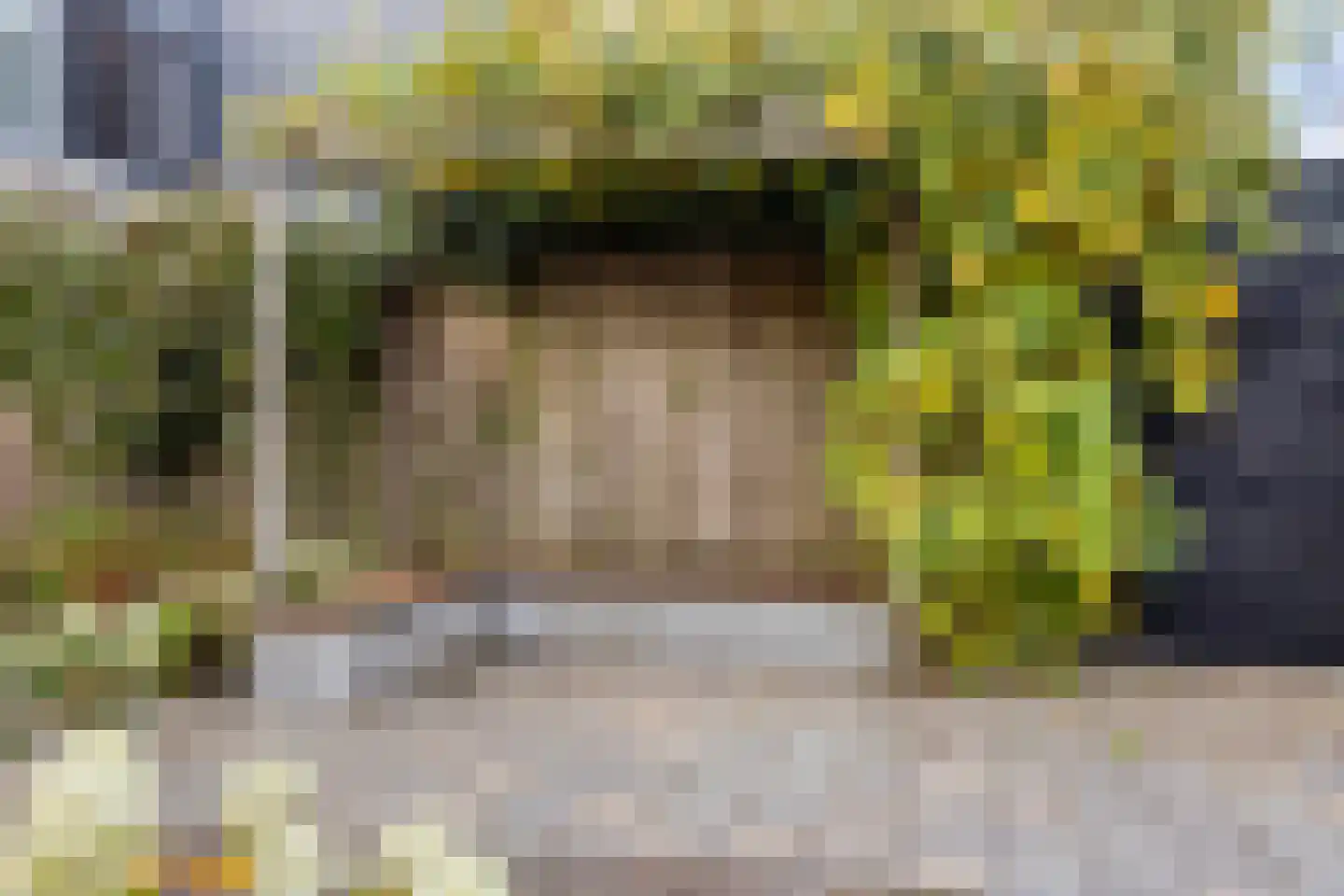 Waleweinlaan 88 Geldrop thumbnail 34
