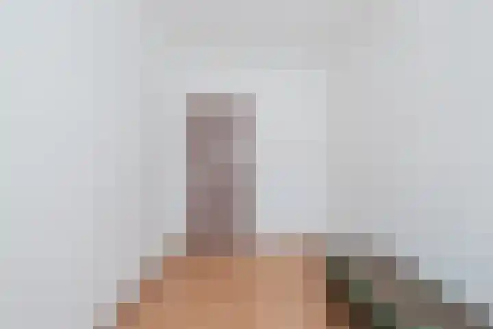 Waleweinlaan 98 Geldrop thumbnail 19