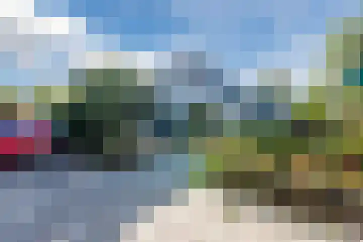 Waleweinlaan 98 Geldrop foto 2