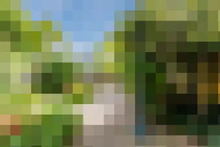Waleweinlaan 98 Geldrop thumbnail 24
