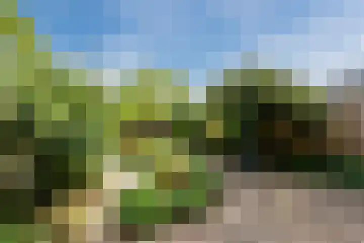 Waleweinlaan 98 Geldrop thumbnail 25