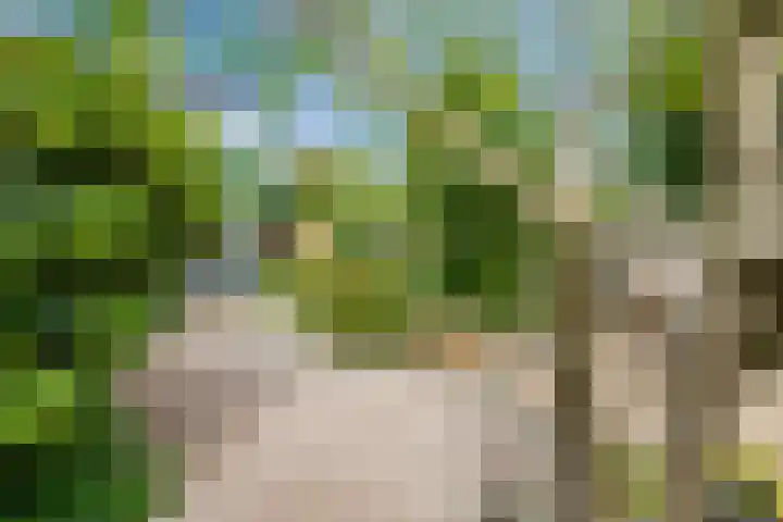 Waleweinlaan 98 Geldrop thumbnail 26