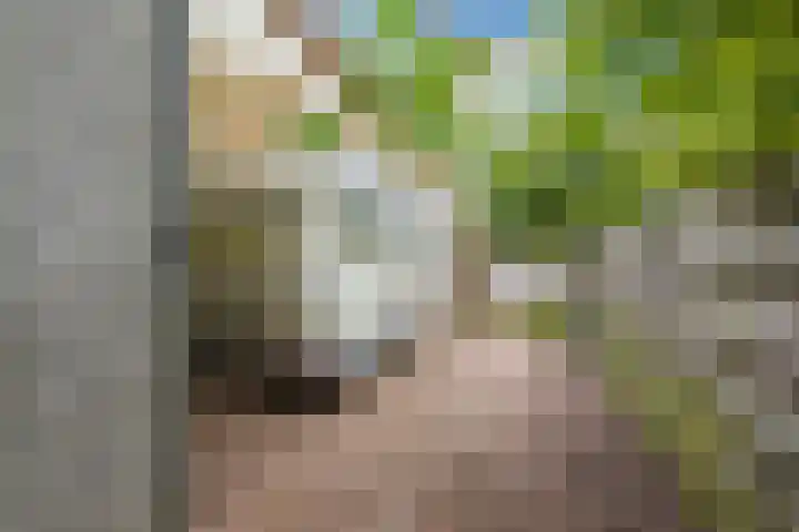 Waleweinlaan 98 Geldrop thumbnail 27