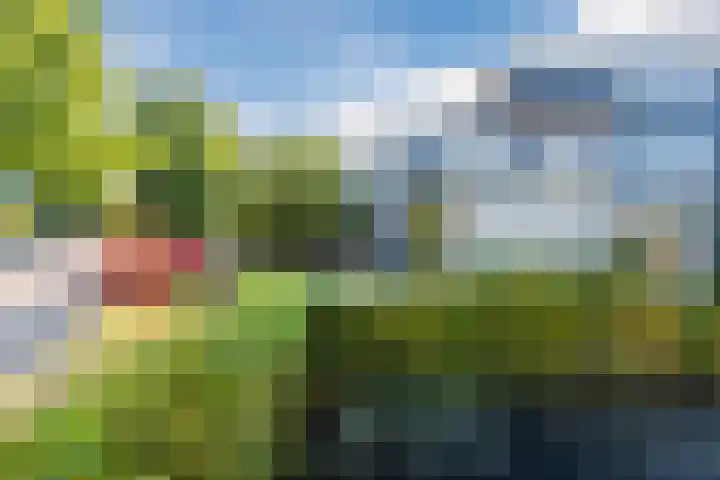 Waleweinlaan 98 Geldrop foto 3