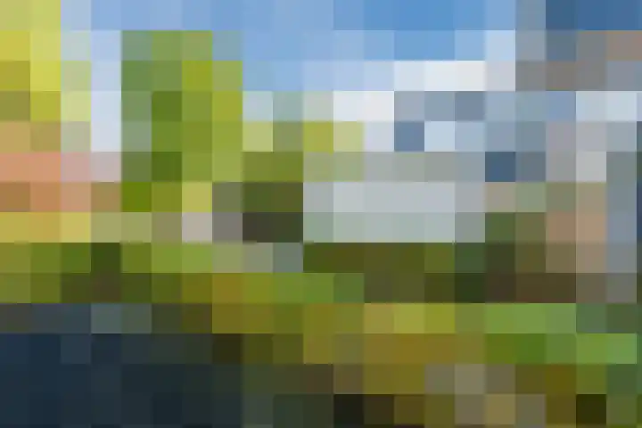 Waleweinlaan 98 Geldrop thumbnail 30