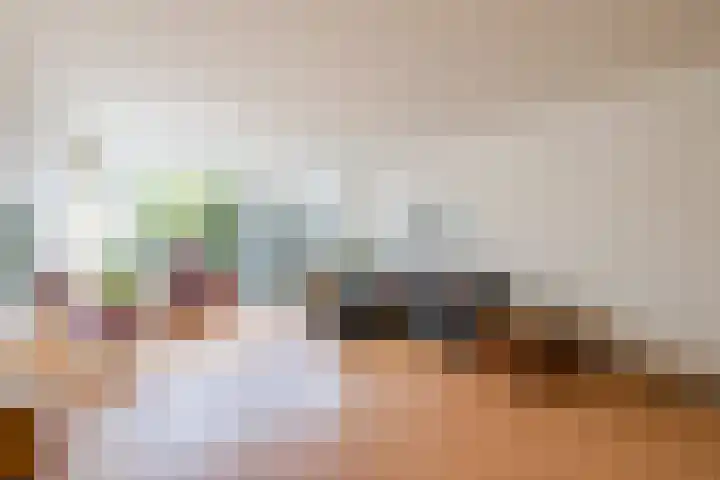Waleweinlaan 98 Geldrop thumbnail 6