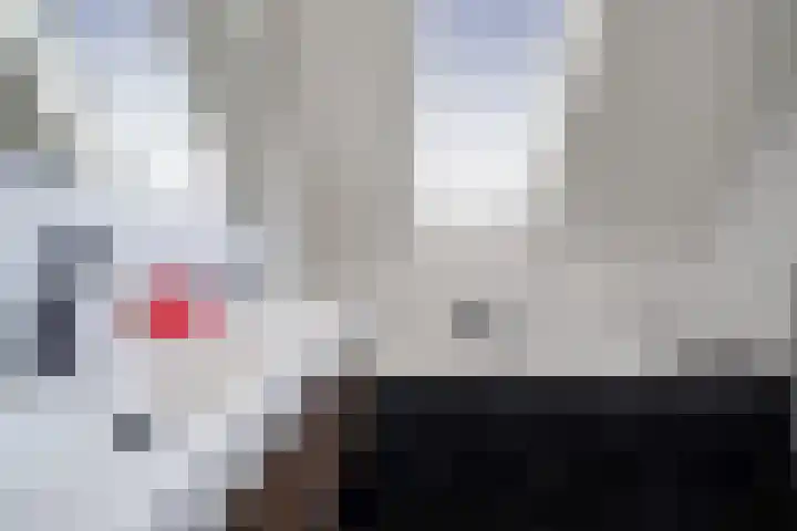 Walgang 1 Geertruidenberg thumbnail 40