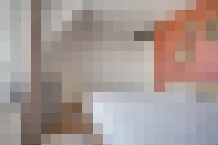 Walgang 1 Geertruidenberg thumbnail 49
