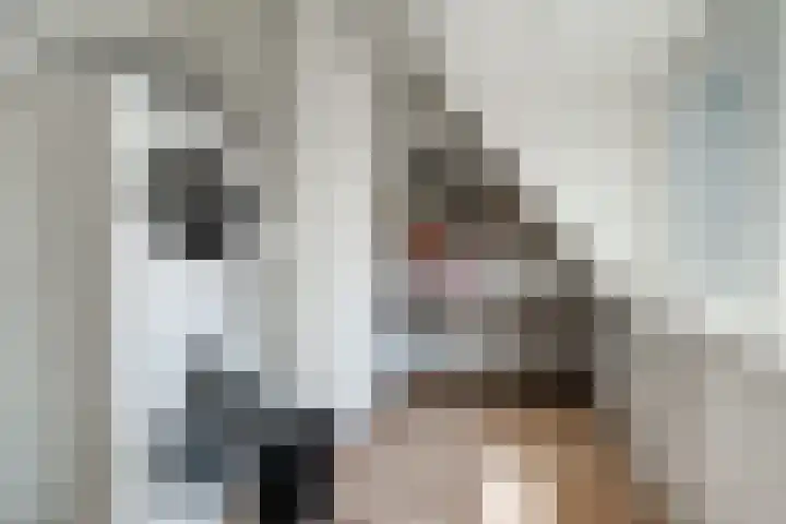 Walgang 1 Geertruidenberg thumbnail 50