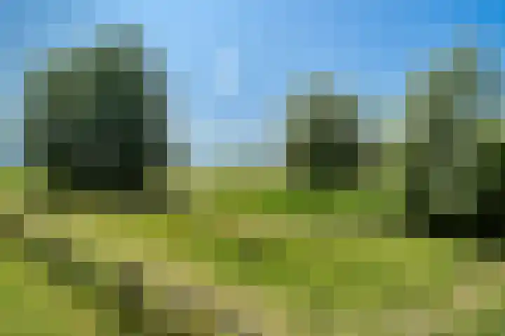 Walgang 1 Geertruidenberg thumbnail 55