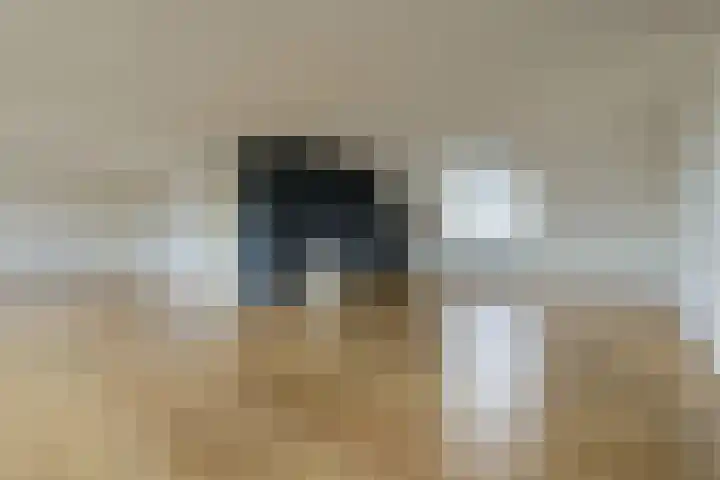 Walgang 101 Geertruidenberg thumbnail 13