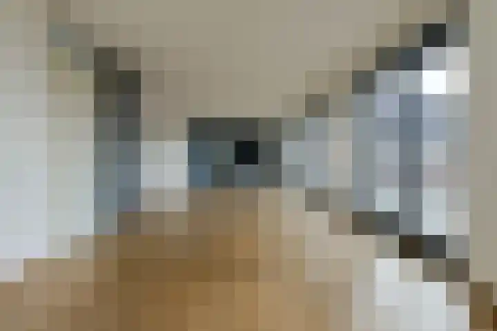 Walgang 101 Geertruidenberg thumbnail 18