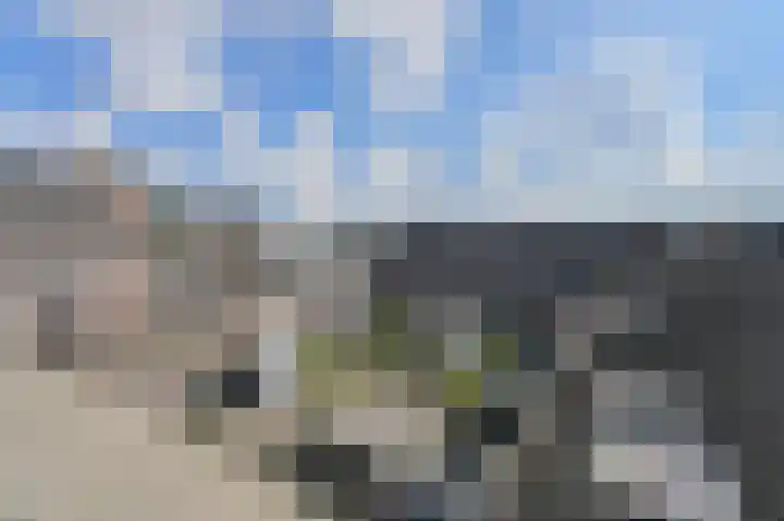 Walgang 101 Geertruidenberg thumbnail 28