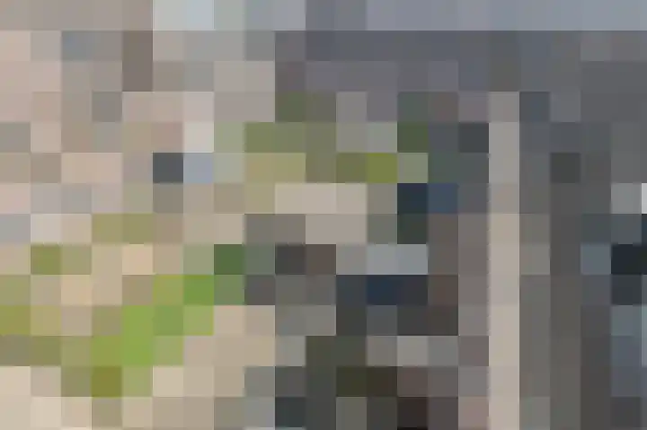 Walgang 101 Geertruidenberg thumbnail 29