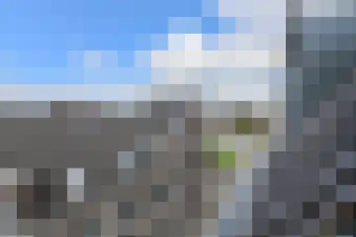 Walgang 101 Geertruidenberg thumbnail 36