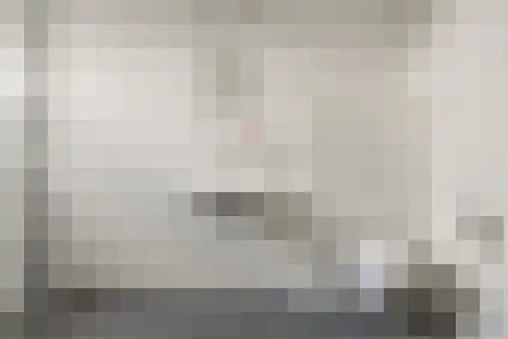 Walgang 101 Geertruidenberg thumbnail 41