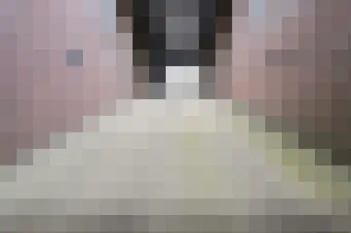 Walgang 101 Geertruidenberg thumbnail 53