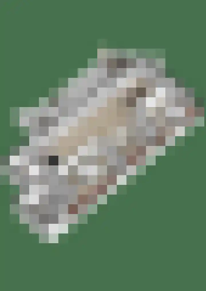 Walgang 101 Geertruidenberg thumbnail 55