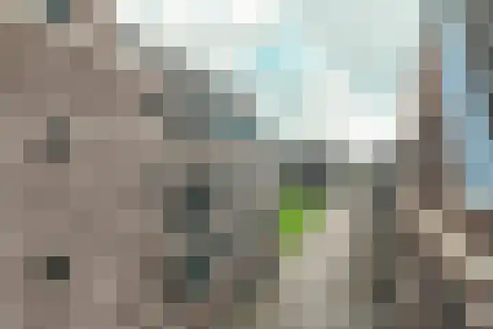Walgang 101 Geertruidenberg thumbnail 7