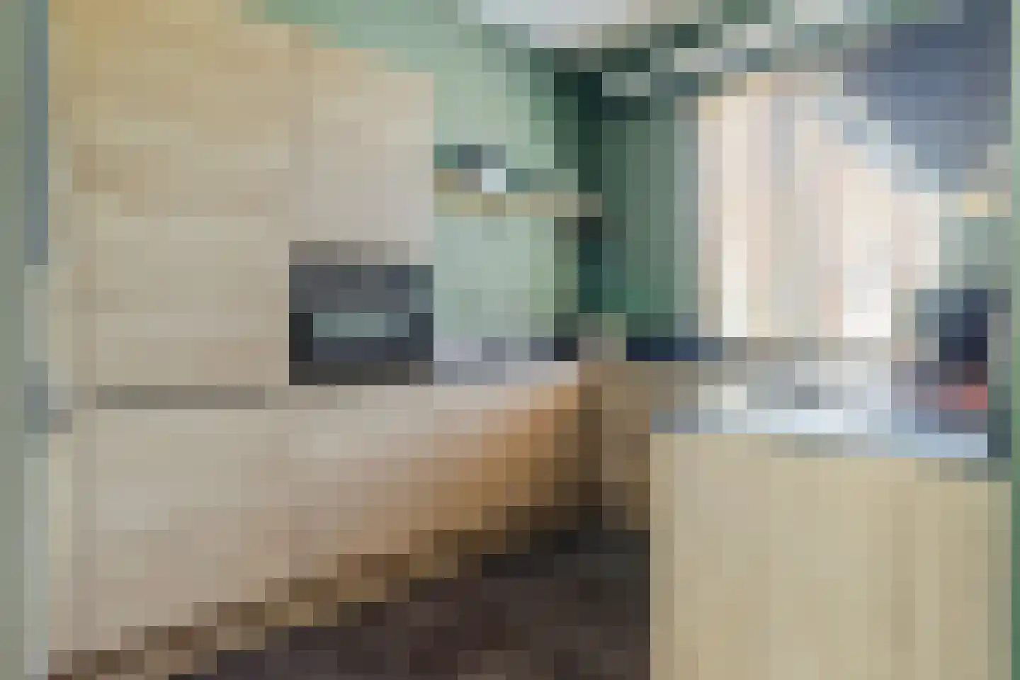 Walgang 21 Geertruidenberg thumbnail 16