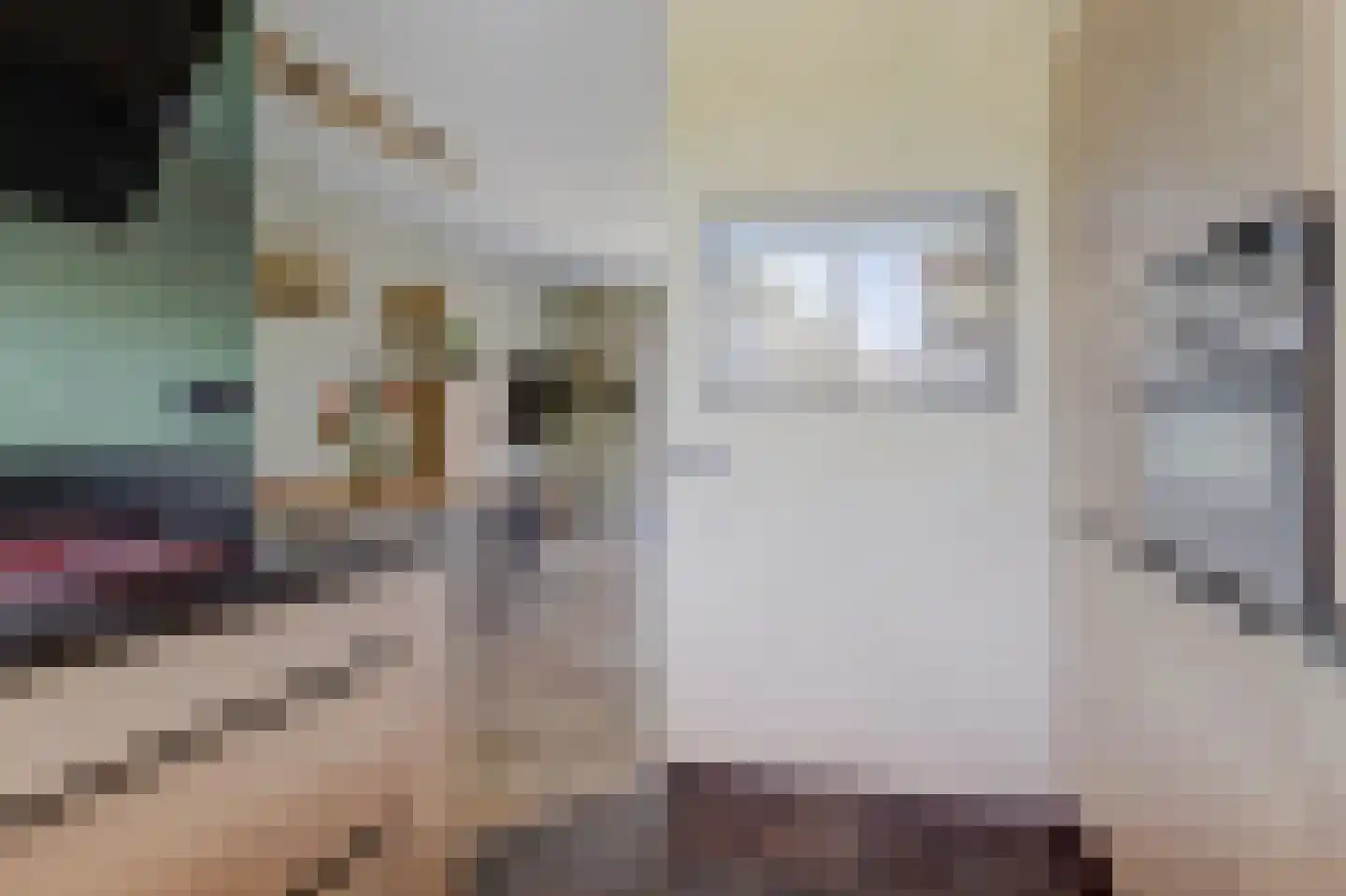 Walgang 21 Geertruidenberg thumbnail 18