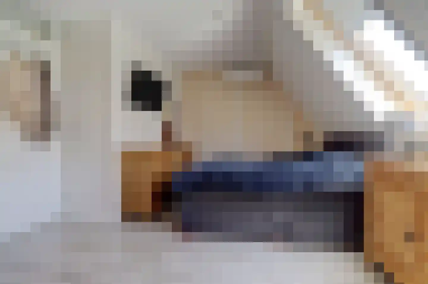 Walgang 21 Geertruidenberg thumbnail 23