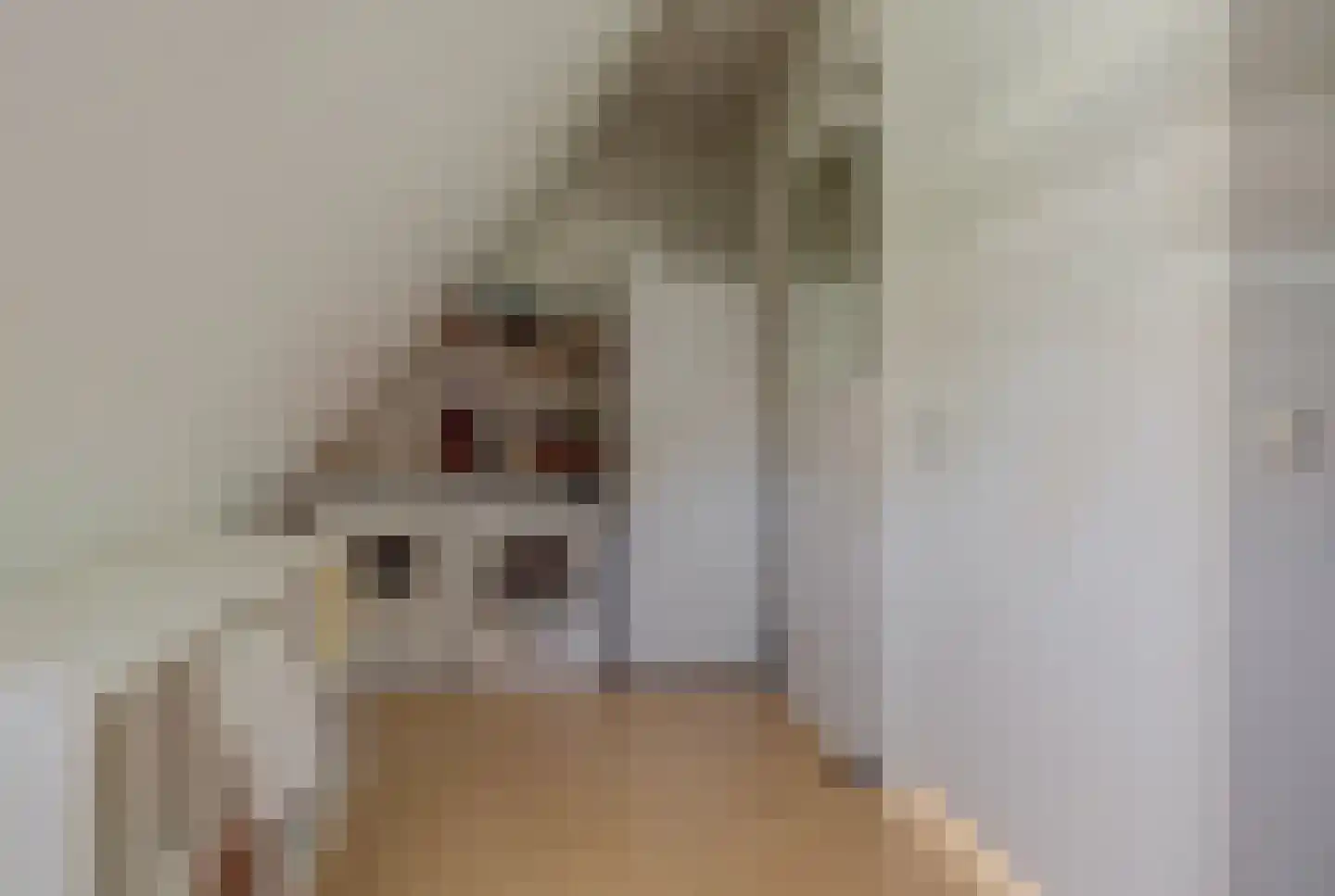 Walgang 21 Geertruidenberg thumbnail 29