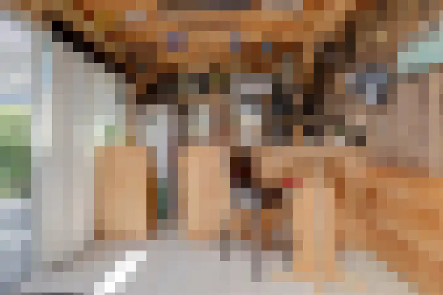 Walgang 21 Geertruidenberg thumbnail 34