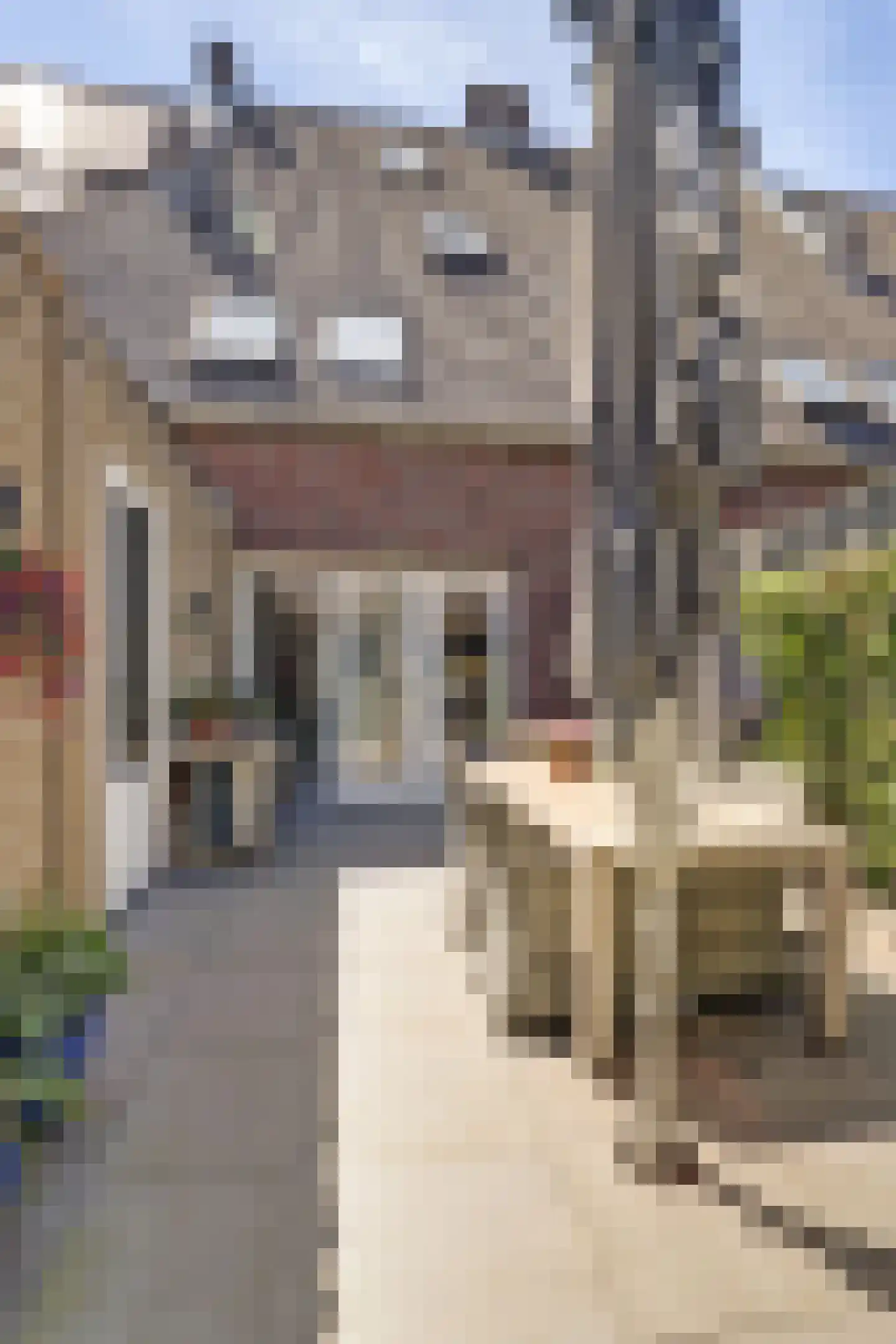 Walgang 21 Geertruidenberg thumbnail 38
