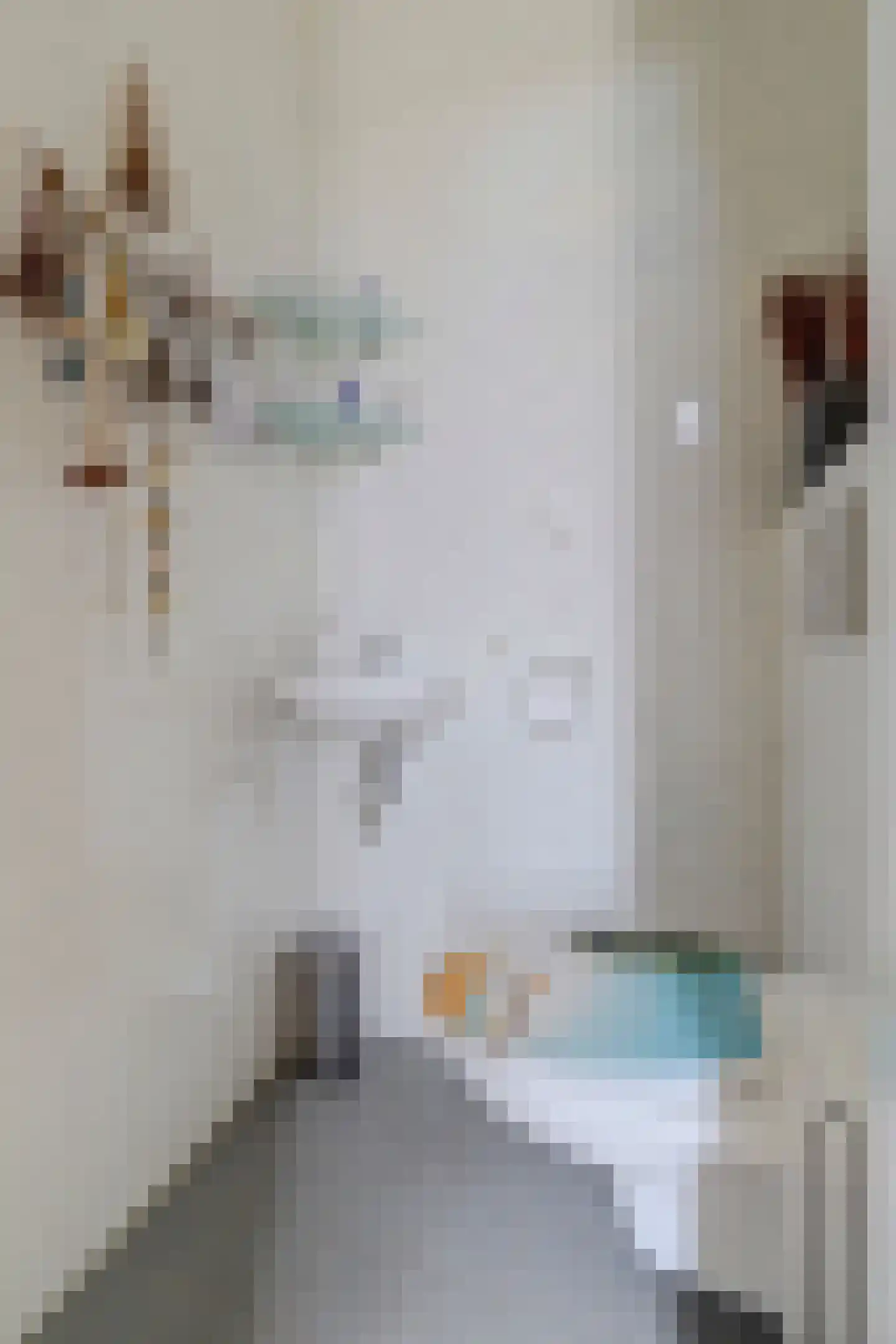 Walgang 21 Geertruidenberg thumbnail 8