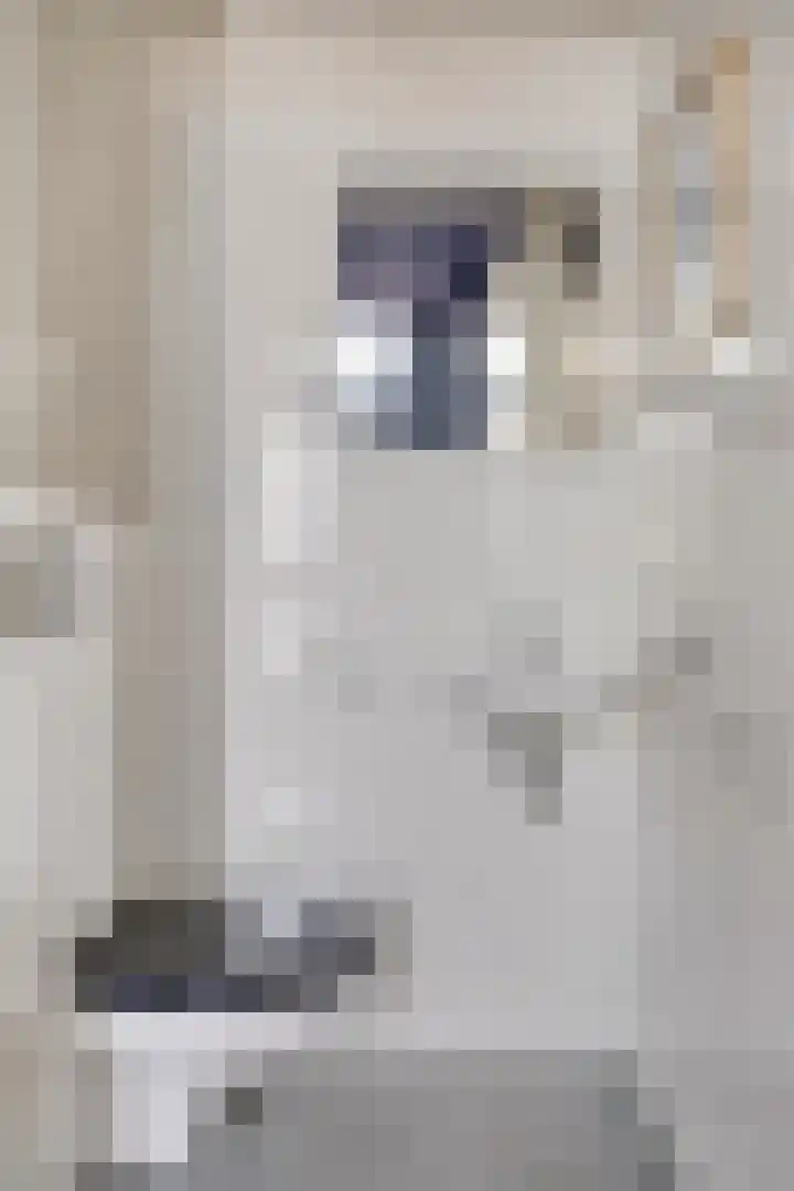 Walgang 7 Geertruidenberg thumbnail 9