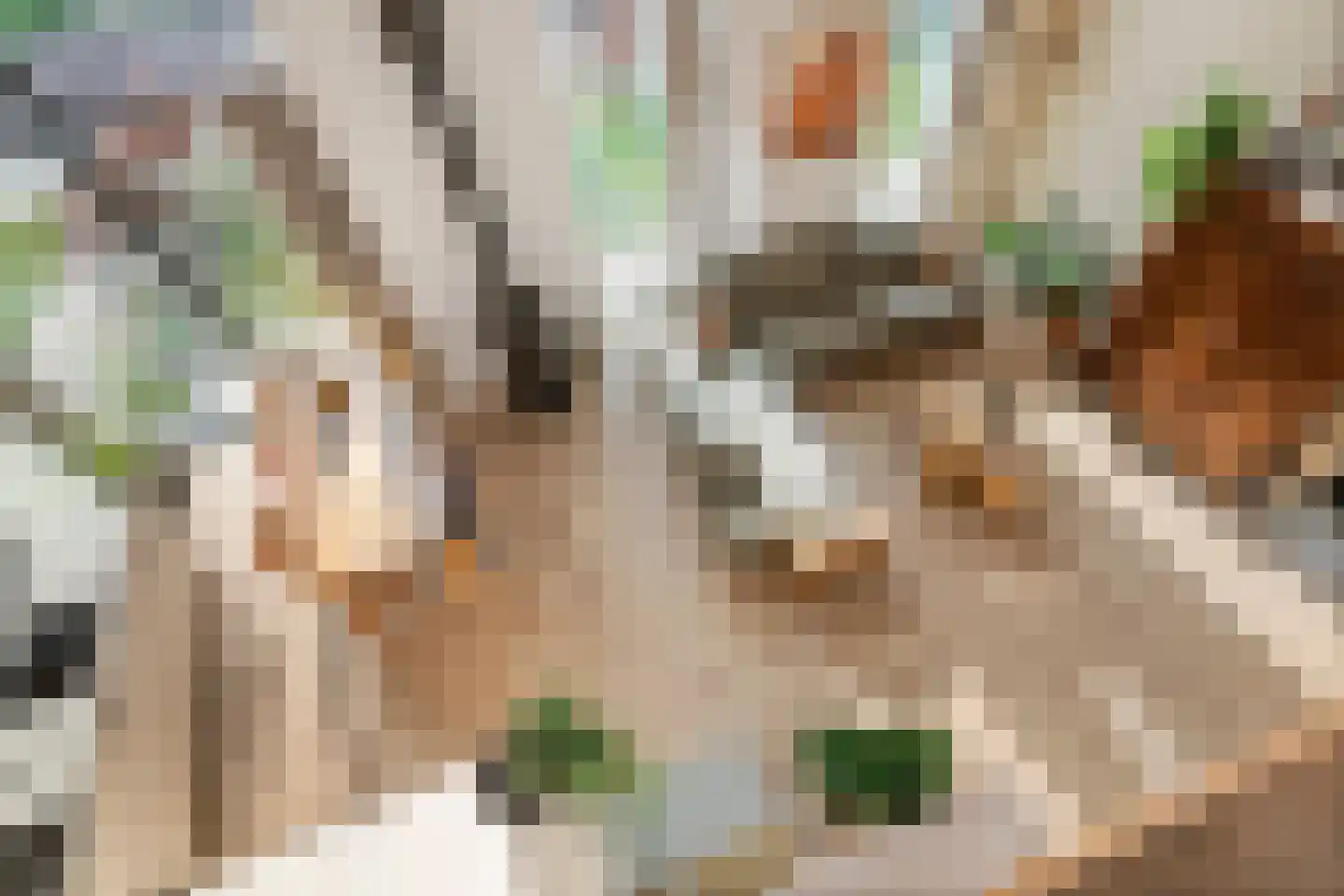 Walgtsestraat 20 a Varik thumbnail 10