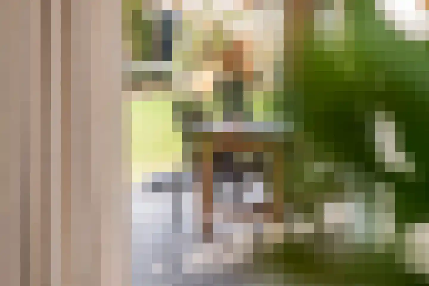 Walgtsestraat 20 a Varik thumbnail 14