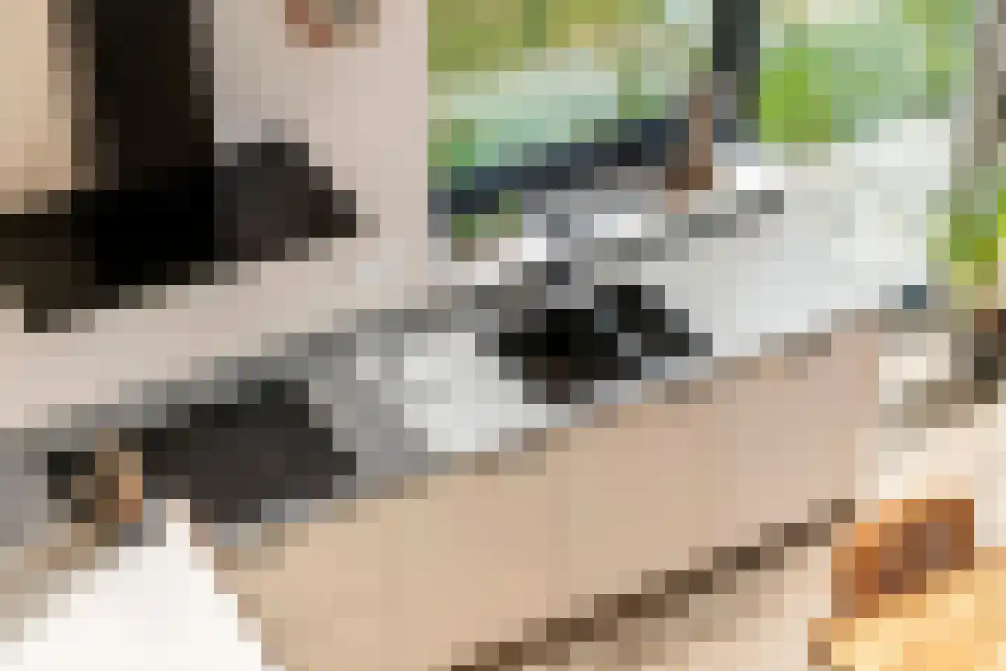 Walgtsestraat 20 a Varik thumbnail 17