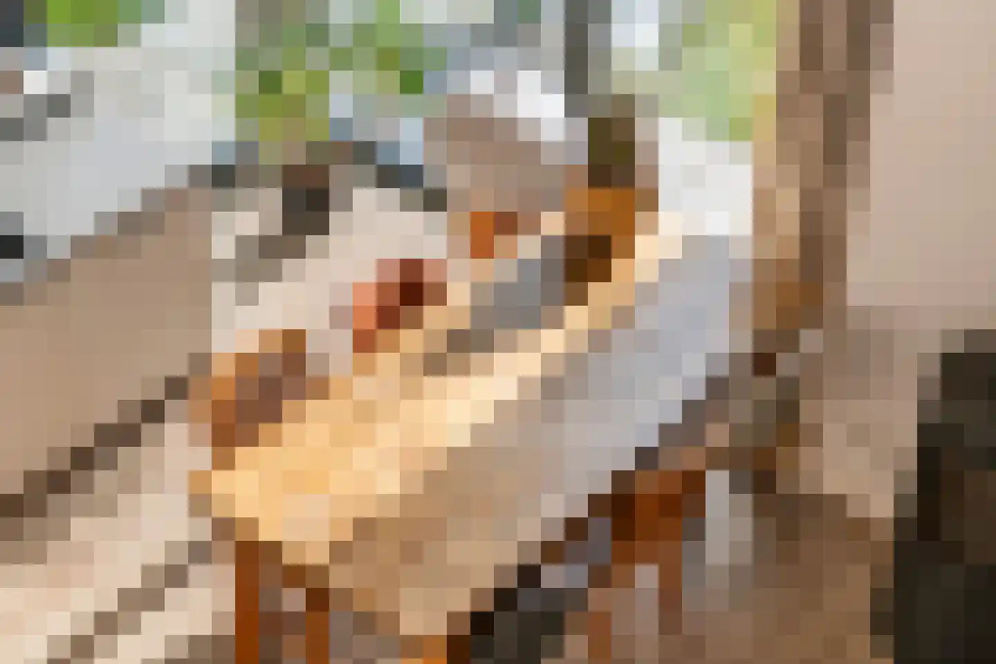 Walgtsestraat 20 a Varik thumbnail 18