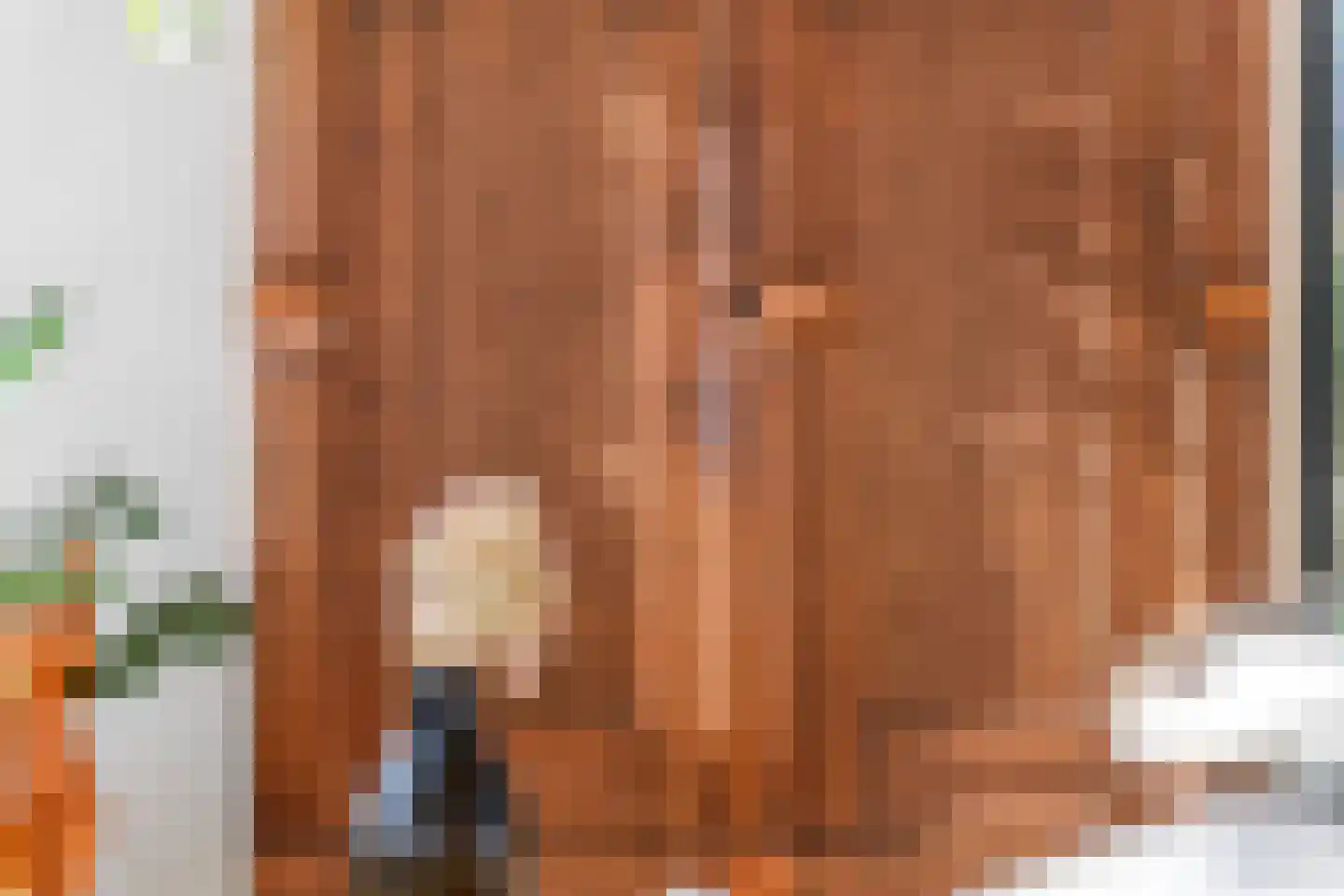 Walgtsestraat 20 a Varik thumbnail 22