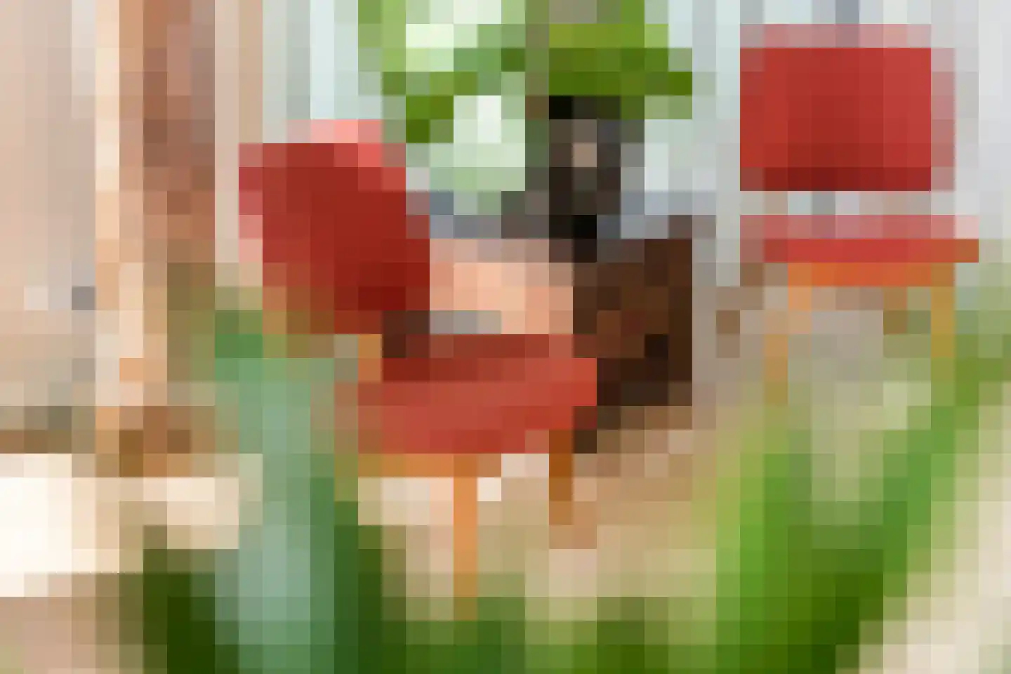 Walgtsestraat 20 a Varik thumbnail 25