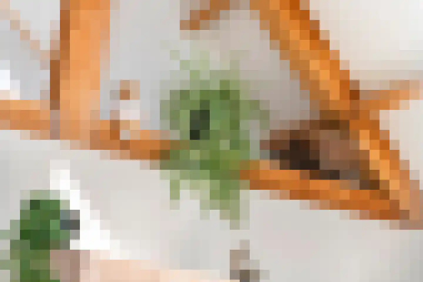 Walgtsestraat 20 a Varik thumbnail 28