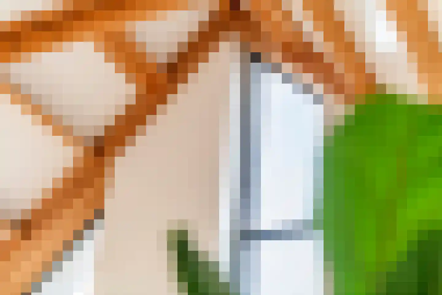 Walgtsestraat 20 a Varik thumbnail 30