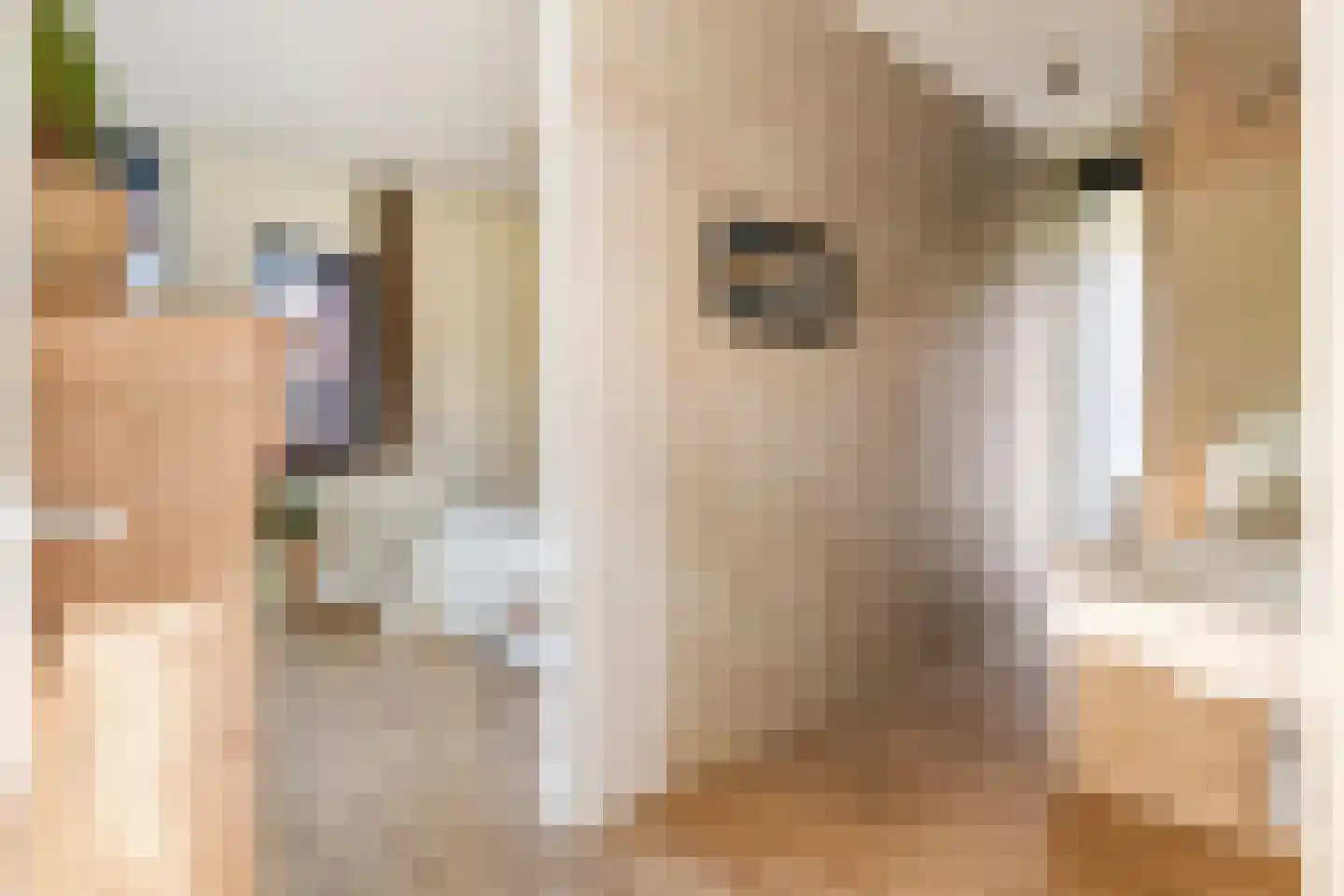 Walgtsestraat 20 a Varik thumbnail 33