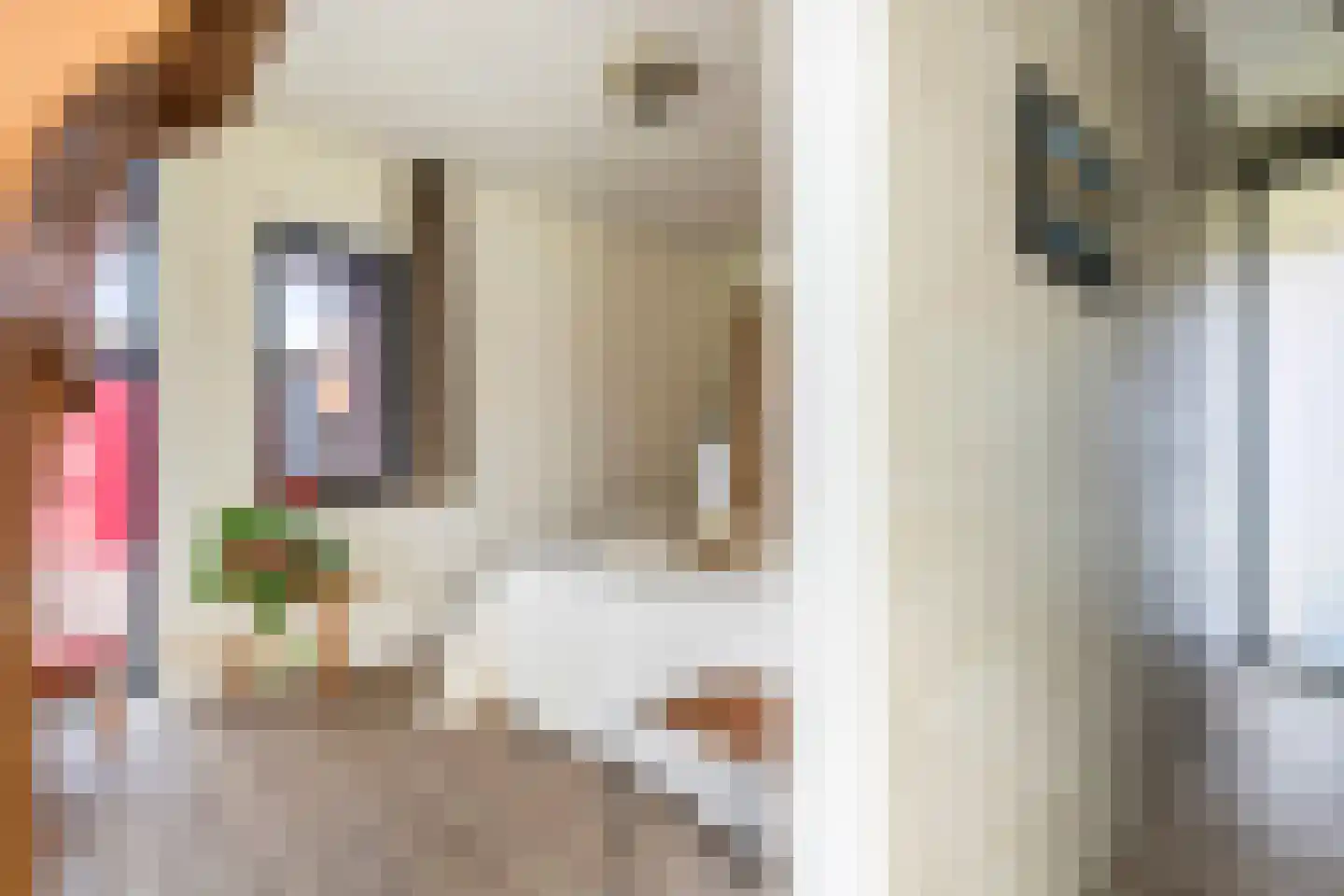 Walgtsestraat 20 a Varik thumbnail 36