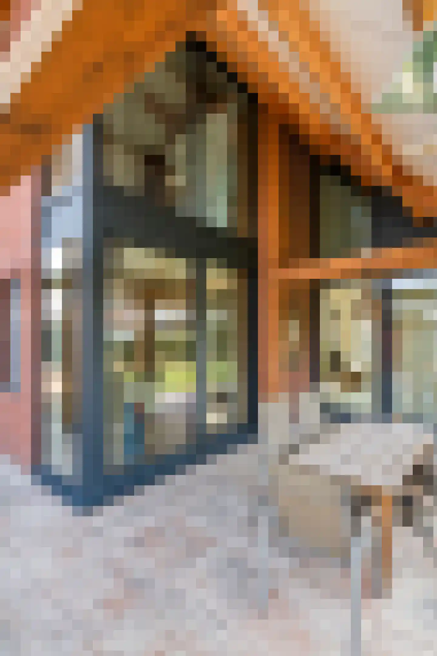 Walgtsestraat 20 a Varik thumbnail 41